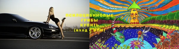 стафф Белокуриха