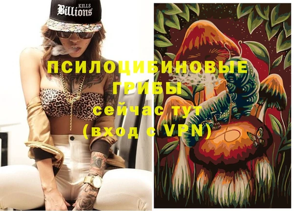 стафф Белокуриха