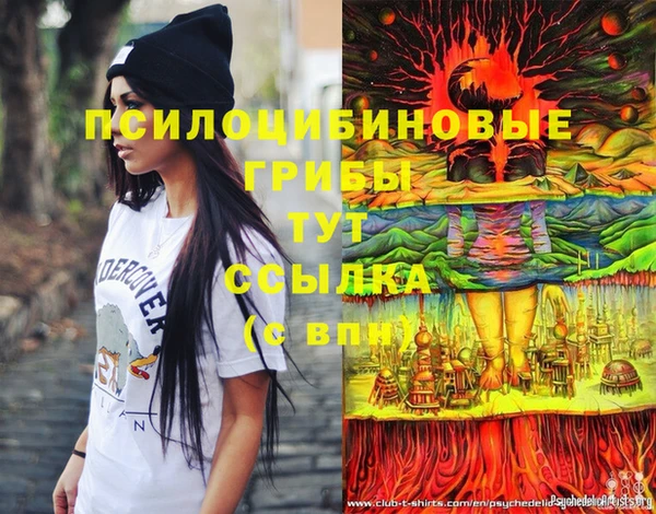 стафф Белокуриха