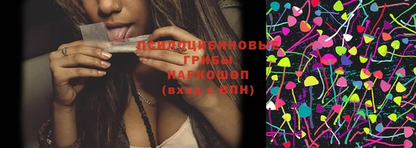 ПСИЛОЦИБИНОВЫЕ ГРИБЫ Белоозёрский