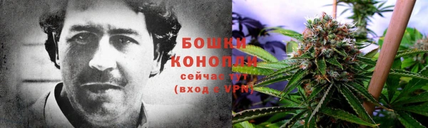 ПСИЛОЦИБИНОВЫЕ ГРИБЫ Белоозёрский